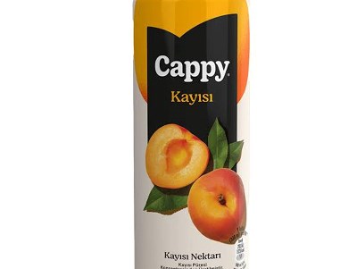 CAPPY KAYISI MEYVE SUYU