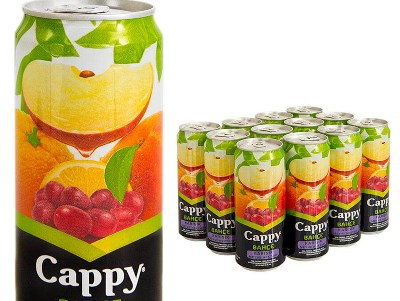 CAPPY KARIŞIK MEYVE SUYU